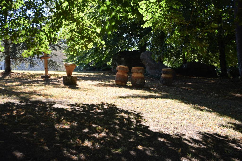 Liorac-sur-Louyre Domaine De La Rocque B&B 외부 사진